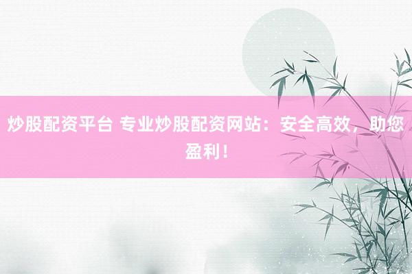 炒股配资平台 专业炒股配资网站：安全高效，助您盈利！