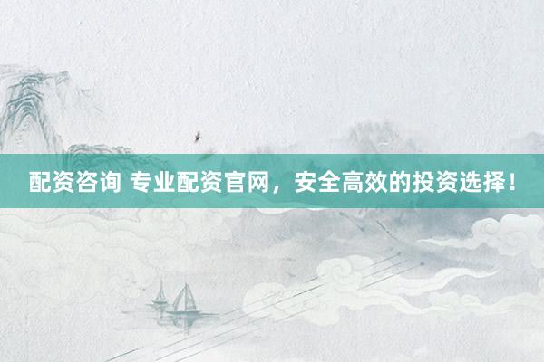 配资咨询 专业配资官网，安全高效的投资选择！