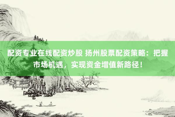配资专业在线配资炒股 扬州股票配资策略：把握市场机遇，实现资金增值新路径！