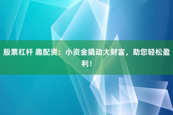 股票杠杆 趣配资：小资金撬动大财富，助您轻松盈利！