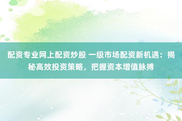 配资专业网上配资炒股 一级市场配资新机遇：揭秘高效投资策略，把握资本增值脉搏