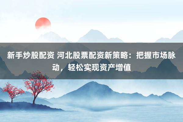 新手炒股配资 河北股票配资新策略：把握市场脉动，轻松实现资产增值