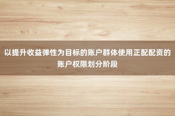 以提升收益弹性为目标的账户群体使用正配配资的账户权限划分阶段