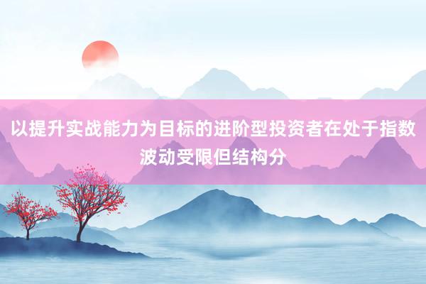 以提升实战能力为目标的进阶型投资者在处于指数波动受限但结构分