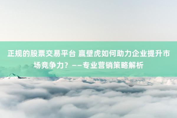 正规的股票交易平台 赢壁虎如何助力企业提升市场竞争力？——专业营销策略解析